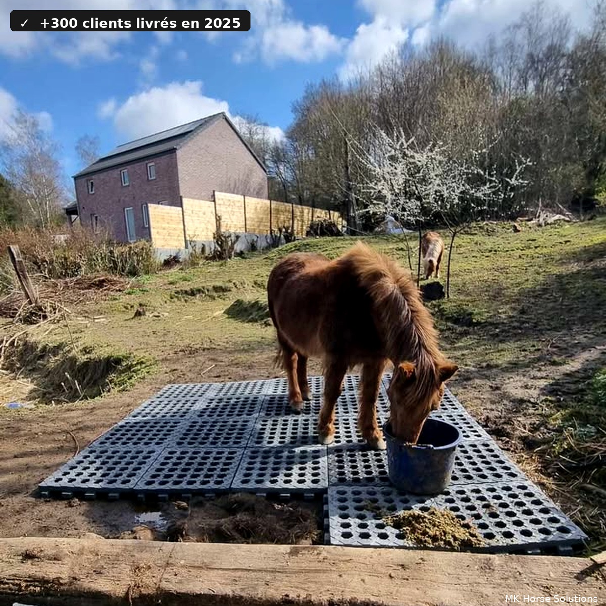 Poney debout sur des dalles anti-boue par beau temps — solution testée dans notre paddock