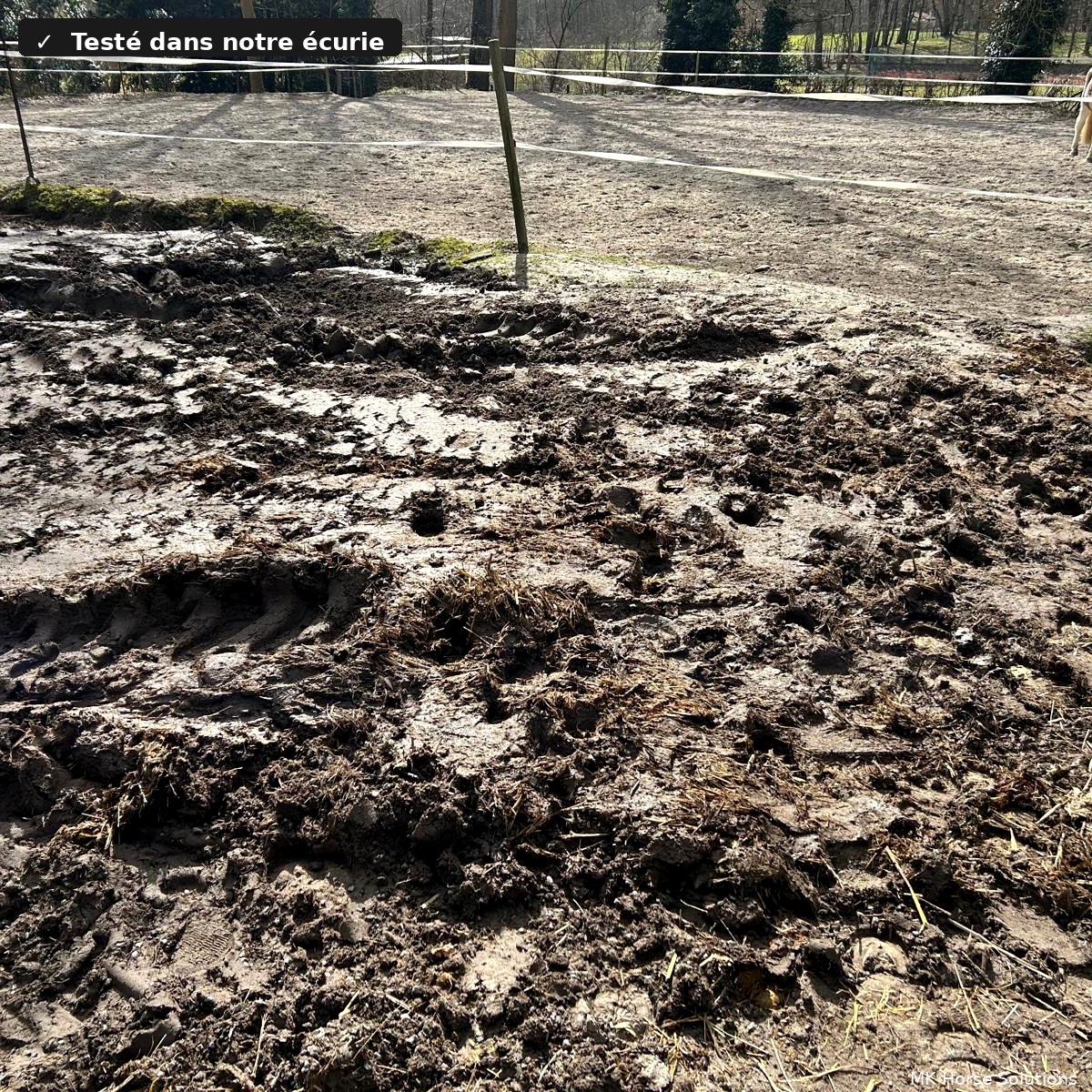 Vue de dessus d'une dalle de stabilisation équestre — perforations drainantes MK Horse Solutions
