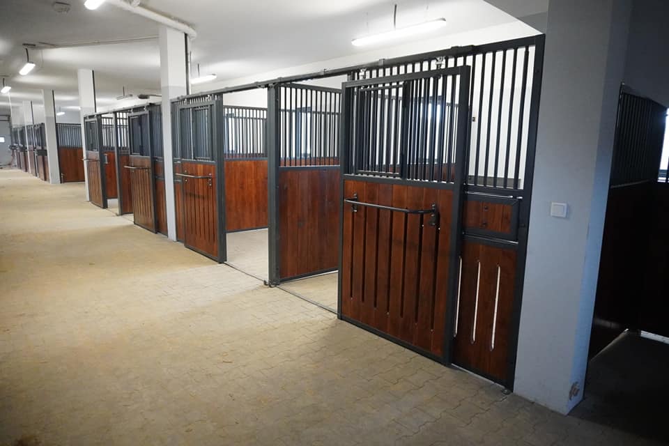 Façade First — box cheval économique et robuste – Image 19
