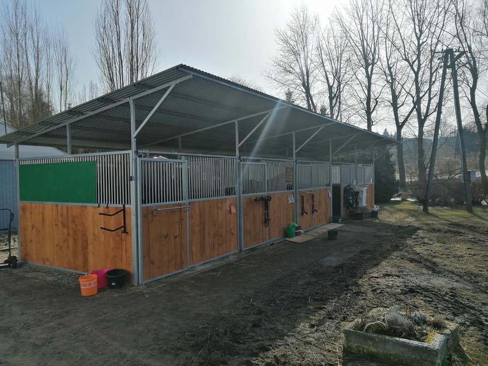 Façade First — box cheval économique et robuste – Image 20