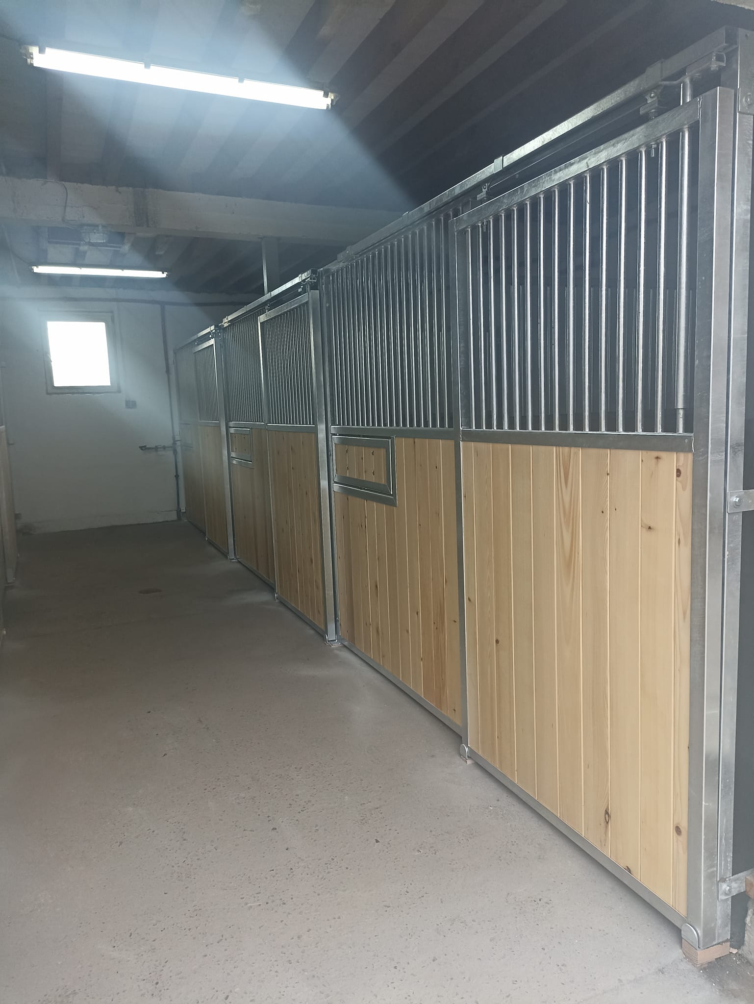 Façade First — box cheval économique et robuste – Image 21