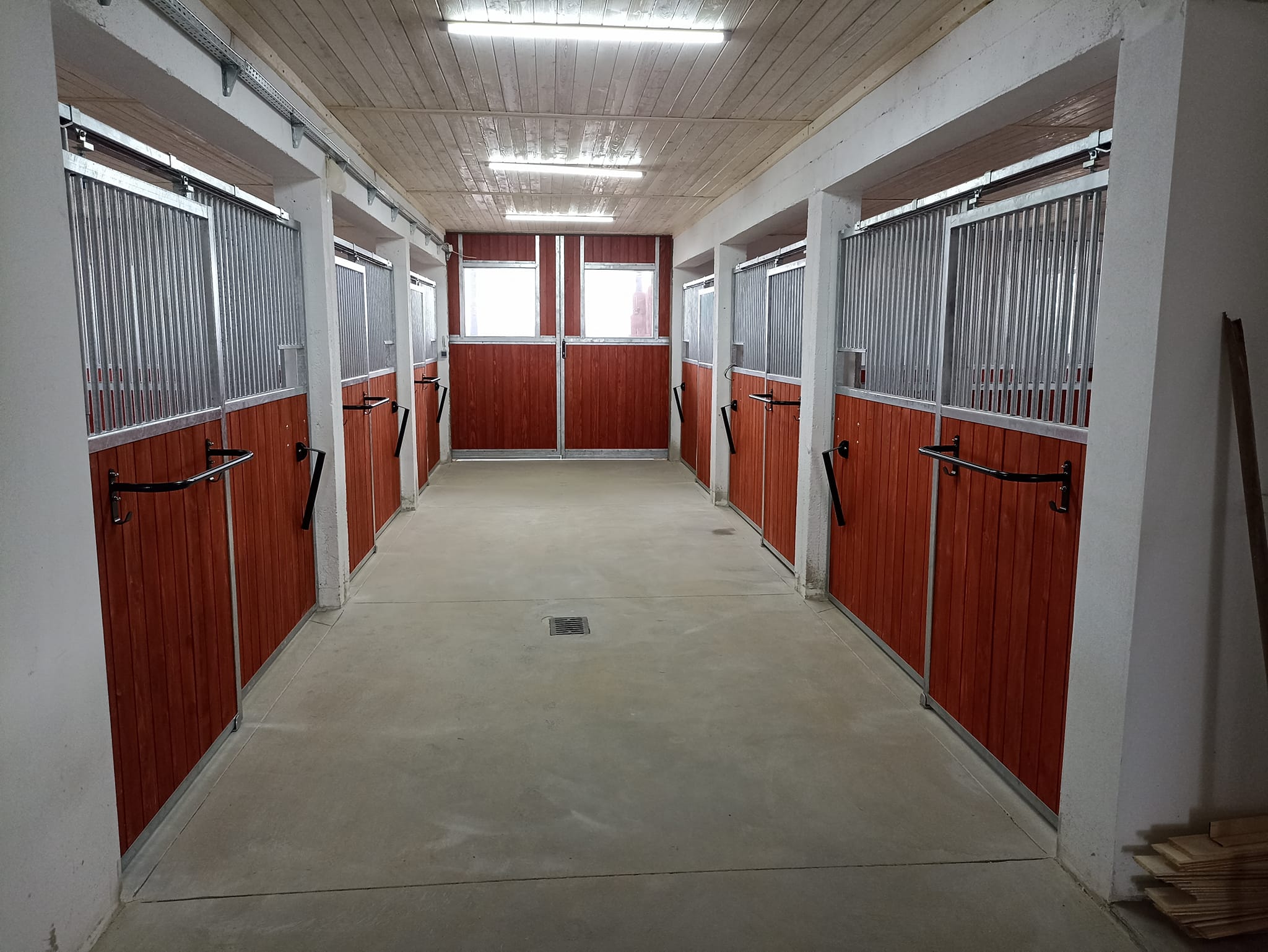 Façade First — box cheval économique et robuste – Image 23
