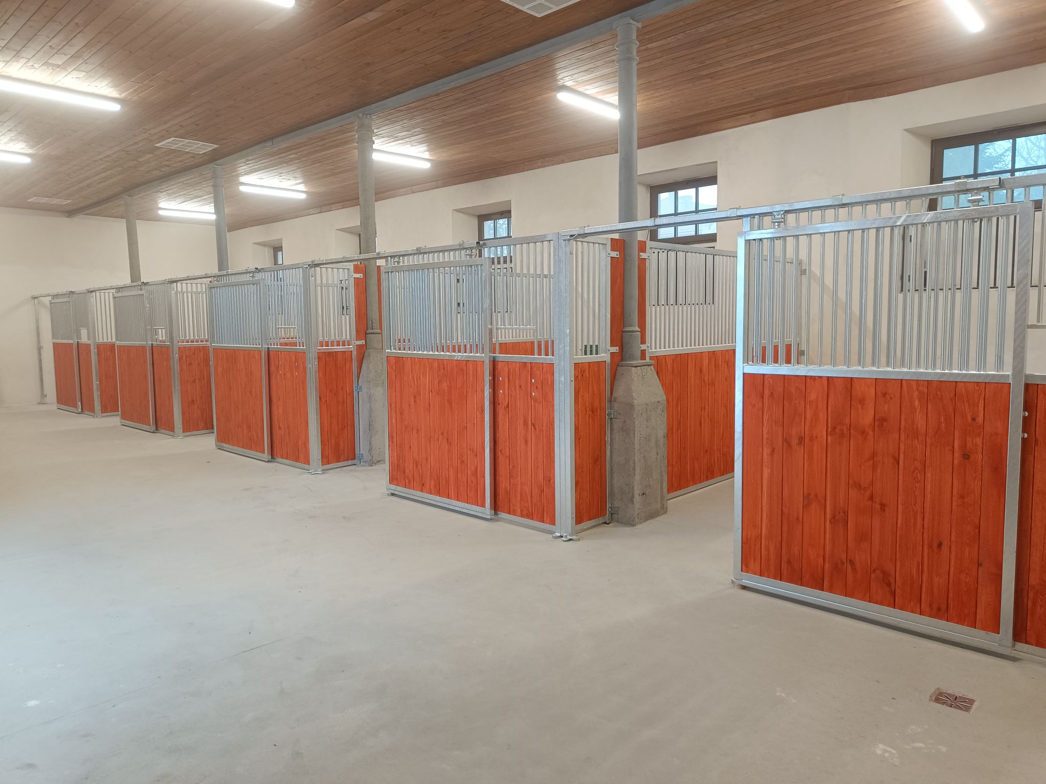 Façade First — box cheval économique et robuste – Image 26