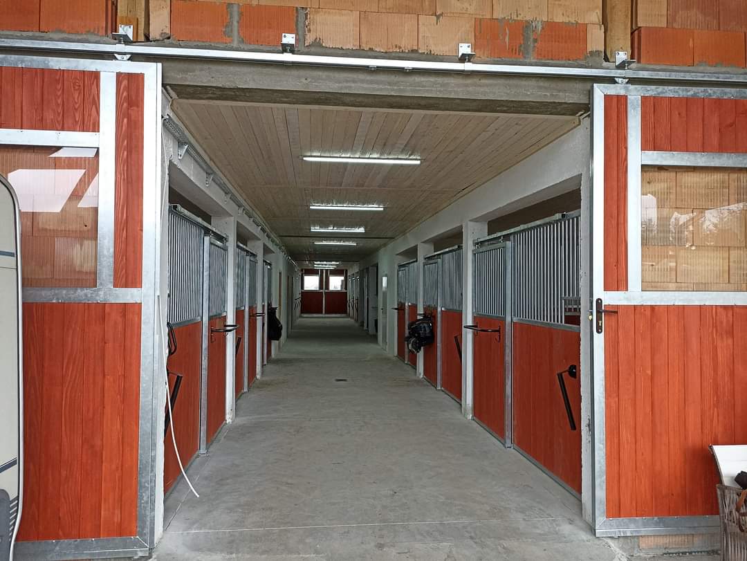 Façade First — box cheval économique et robuste – Image 12