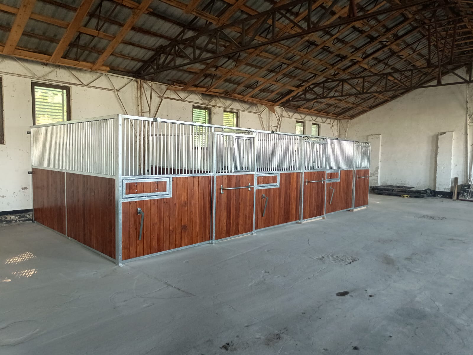 Façade First — box cheval économique et robuste – Image 31