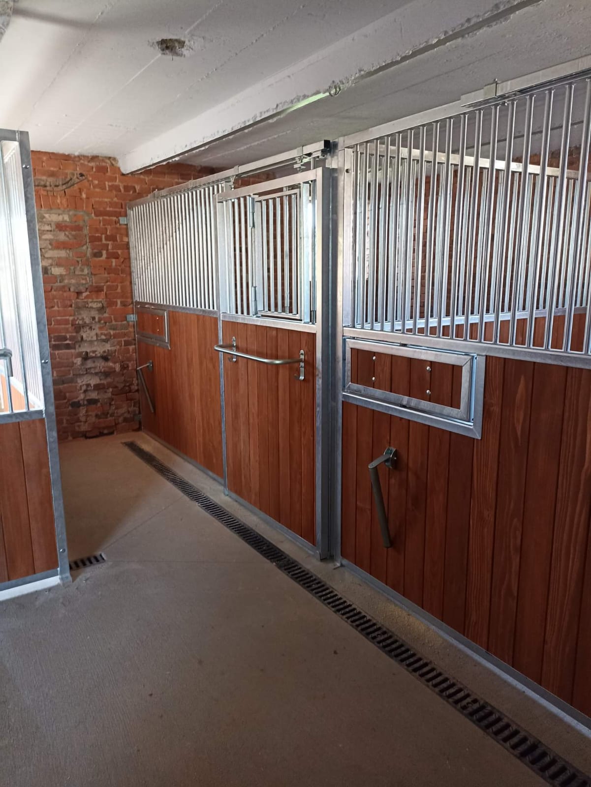 Façade First — box cheval économique et robuste – Image 11